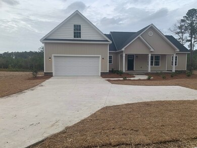 4001 Highway 905 unit Lot 2, Conway, SC 29526 - photo 2