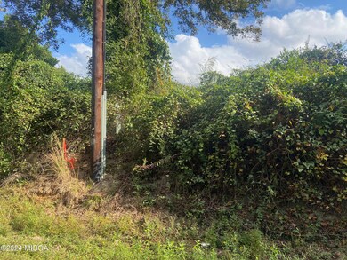 0 Moseley Rd unit 180362, Byron, GA 31008 - photo 5