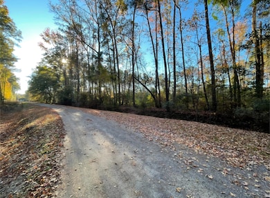 0 Digit Rd unit 25030748, Summerville, SC 29483 - photo 7