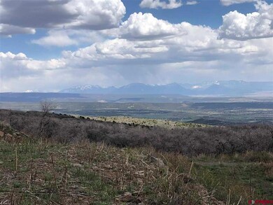 21525 W Elks View Dr, Cedaredge, CO 81413 - photo 4