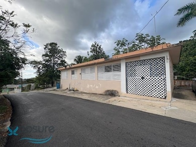 8 Carr 348 Camino Sixto Mas, Mayaguez, PR 00680 - photo 7