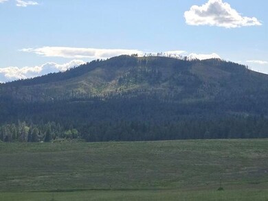 5266 Wagner Rd, Springdale, WA 99173 - photo 4