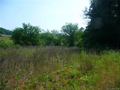 00 Jones Patton Rd, Leicester, NC 28748 - photo 4