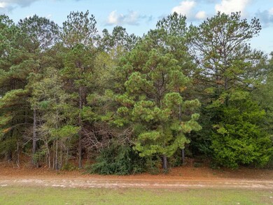 TBD State Highway 155, Big Sandy, TX 75755 - photo 7