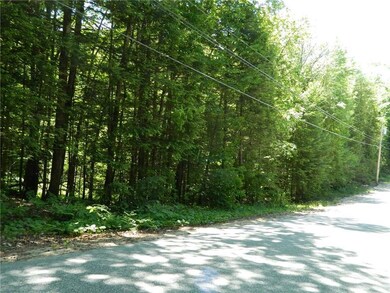 0 Wards Hill Rd unit 1292819, Baldwin, ME 04091 - photo 3