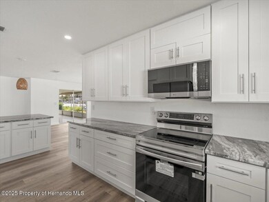 3366 Minnow Creek Dr, Hernando Beach, FL 34607 - photo 3