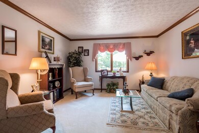Living Room/Den