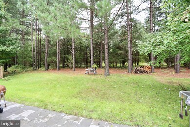 42233 St Huberts Place, Chantilly, VA 20152 - photo 5