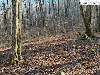 TBD Wolfsbane Trail, Todd, NC 28684 - photo 7