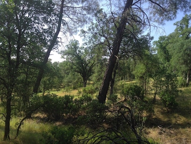 20140603221016525809000000-o