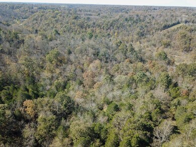 DJI_0069