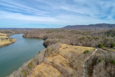 TBD Blackberry Ln, Hiwassee, VA 24347 - photo 6