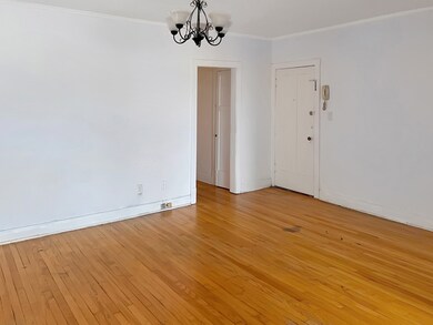 131 N Addison Ave unit 3, Elmhurst, IL 60126 - photo 6