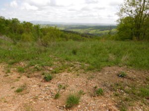 property (2)