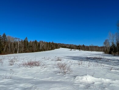 Five acre clearing