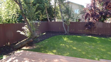 Wright Chesapeake Back Yard 2