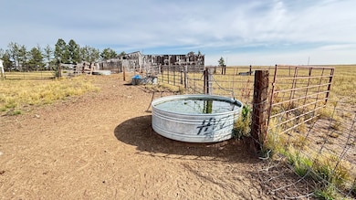 3785 Rd 222, Cheyenne, WY 82009 - photo 7