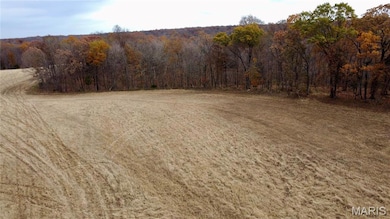 Tract 6 Polston Ln, Hickory Grove Township, MO 63357 - photo 5