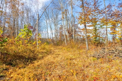 0 Hambel Rd, Union Township, OH 43758 - photo 6