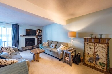 844 Cliffs Dr unit 101 D, Ypsilanti, MI 48198 - photo 4