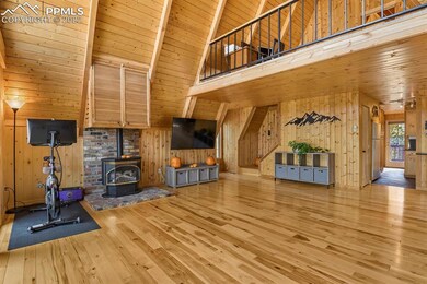 66 Blue Mesa Dr, Divide, CO 80814 - photo 6