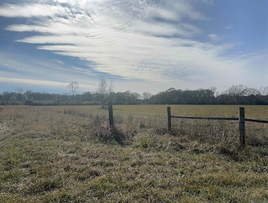 7474 Lemon Rd, Slaughter, LA 70777 - photo 2