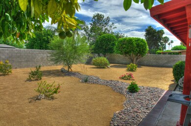 Back Side View