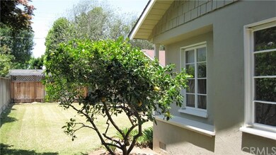 Wonderful Citrus Trees
