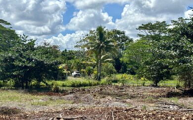 Standing on the subject property, looking toward the adjoining acre's front boundary line and 16th Ave