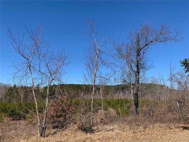 9172 Welch Rd, Webster, WI 54893 - photo 4