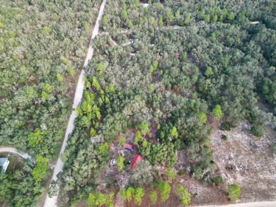 TBD NE 120th Ave, Bronson, FL 32621 - photo 4