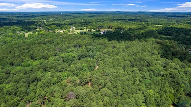 Aerial view of a forest