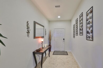 11679 Brighton Knoll Loop, Riverview, FL 33579 - photo 4