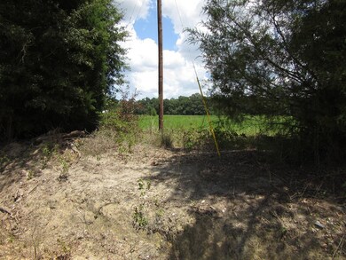 000 Eudon Best Rd, Ashford, AL 36312 - photo 2