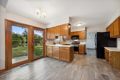 1305 Windemere Ave, Naperville, IL 60564 - photo 4