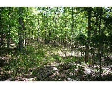 0 Trestle St unit 654309, Winslow, AR 72959 - photo 3