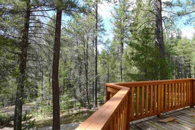 15 Mountain View Ln unit 2, Cloudcroft, NM 88317 - photo 7