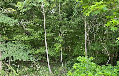 106b Calico Ct, Alberta, AL 36720 - photo 3