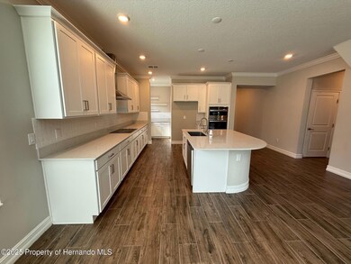 9904 Wild Begonia Loop, Land O' Lakes, FL 34637 - photo 3