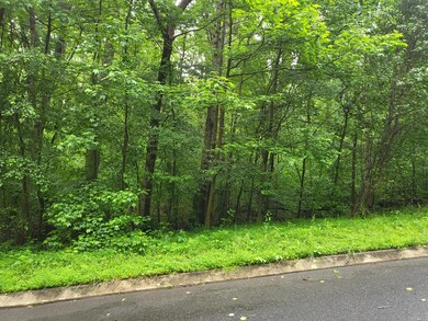 photo lot 17 Loblolly Lane