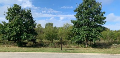 7103 Fitkins Dr, Oswego, IL 60543 - photo 4