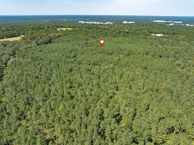 00 Mississippi 588, Collins, MS 39428 - photo 4