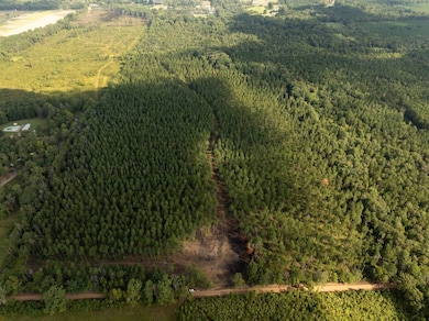 0 Pisgah Rd unit 1, Brandon, MS 39047 - photo 6