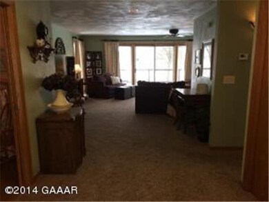 7028 Pospisil Dr SW, Alexandria, MN 56308 - photo 7