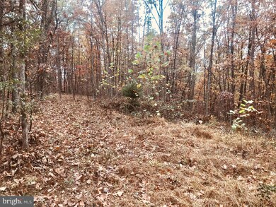 0 Mccubbin Rd unit VAFV160532, Winchester, VA 22603 - photo 2