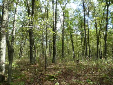 60 Ac 22nd St, Cutler, WI 54618 - photo 6