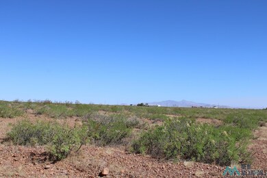 0 Saguaro Rd SE unit 20223081, Deming, NM 88030 - photo 4