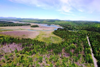 DJI_0466