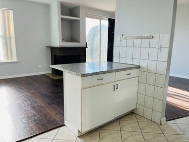 872 Creekview Ln, Lake In the Hills, IL 60156 - photo 5