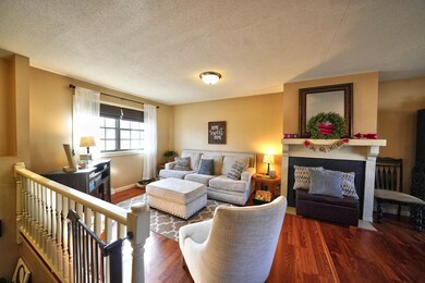 Living Room and Fireplace